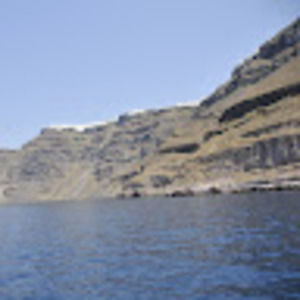 Meet your Posher, Jerry